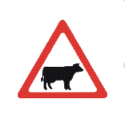 Cattle Signs