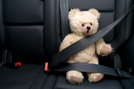 Teddy seatbelt