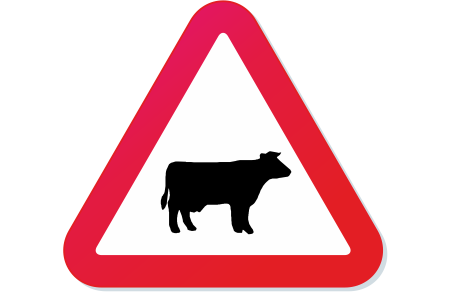 Road Sign